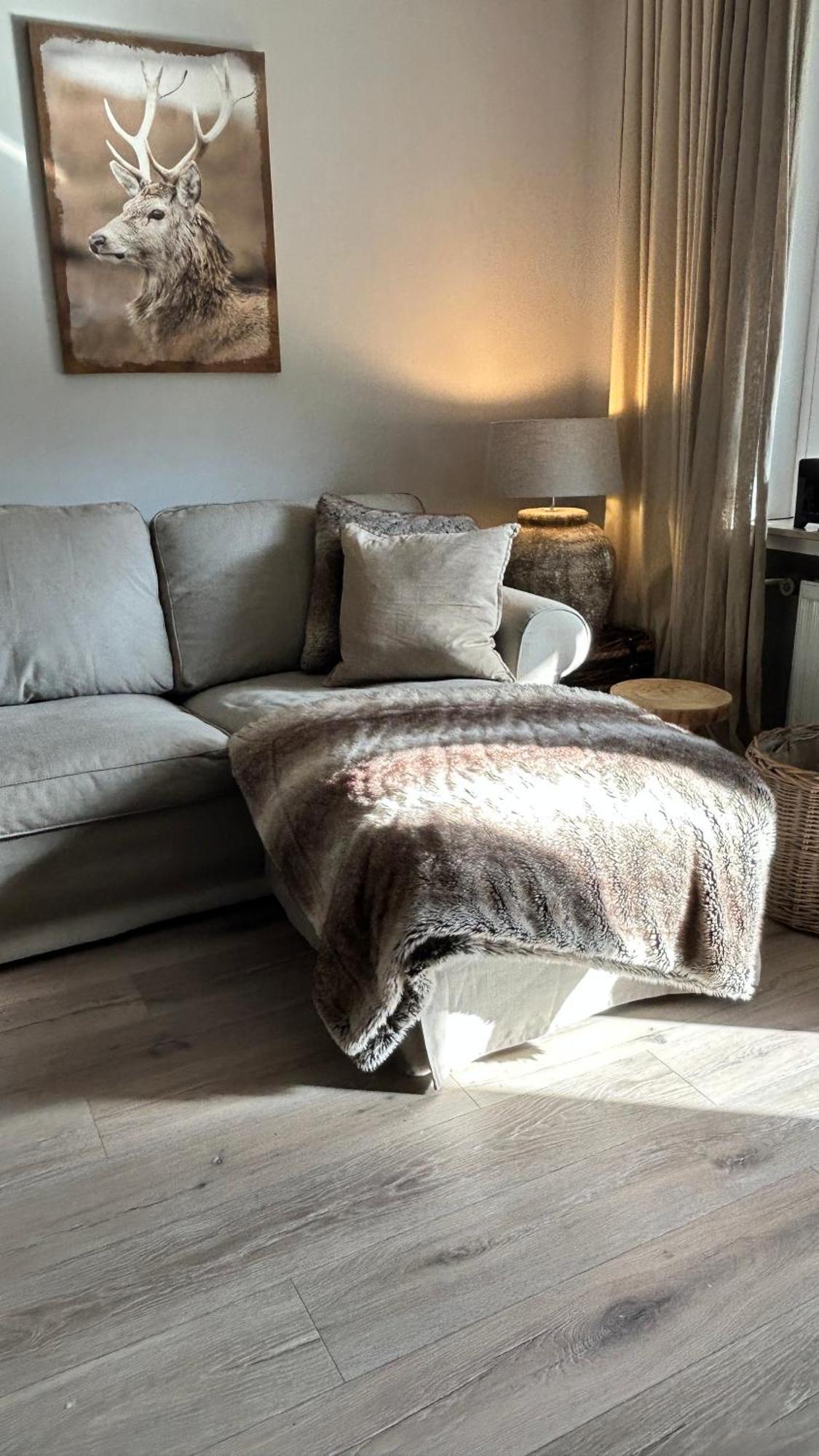 Ferienapartment Hahnenklee Apart 1 Goslar Ngoại thất bức ảnh